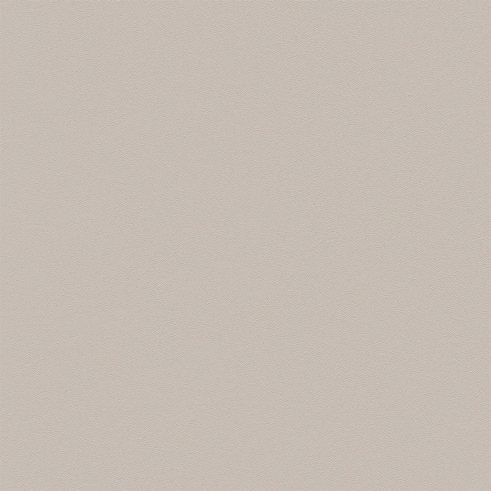 ZEAL DINING CHAIR LIGHT GRAY