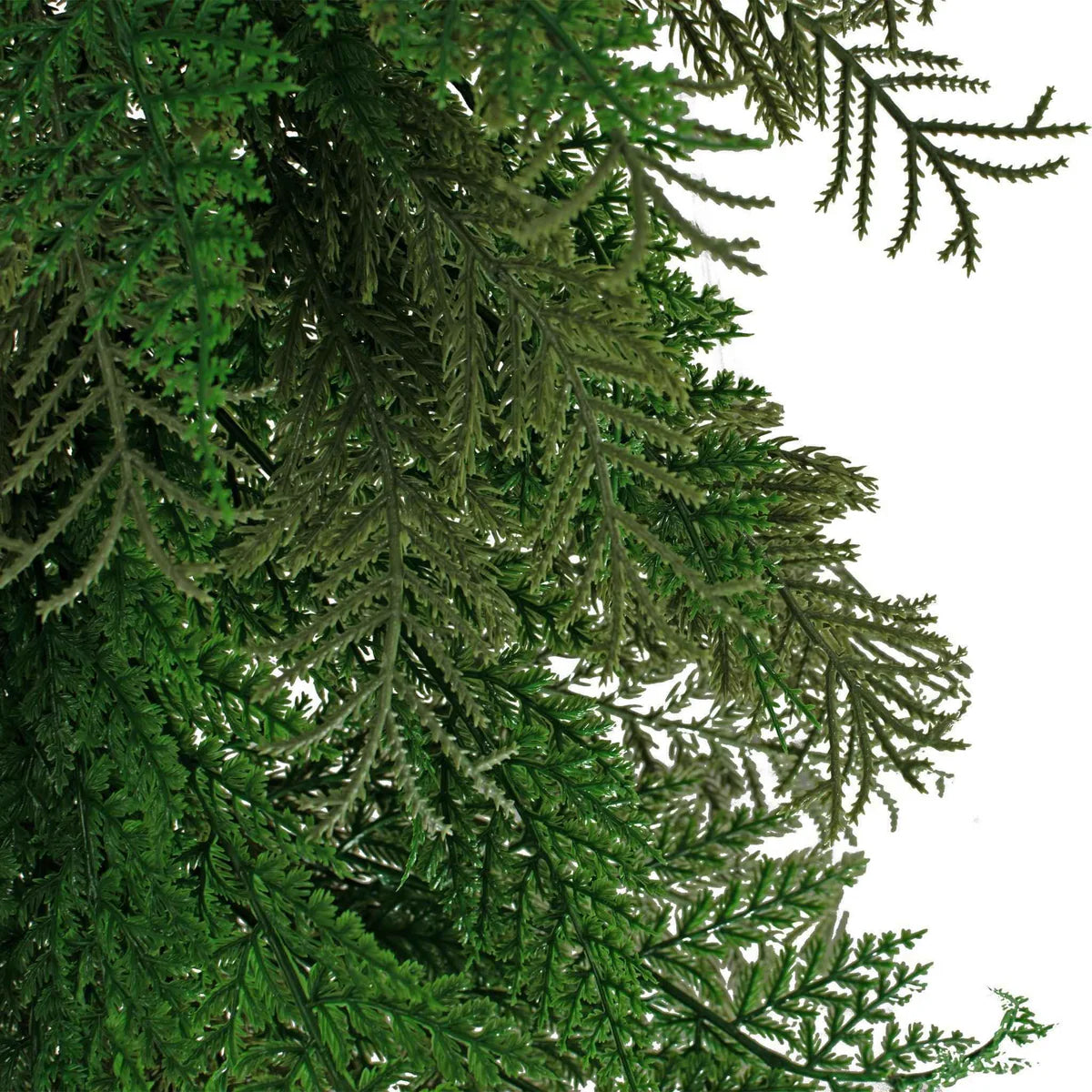 6FT MIXED CEDAR AND CYPRESS GARLAND
