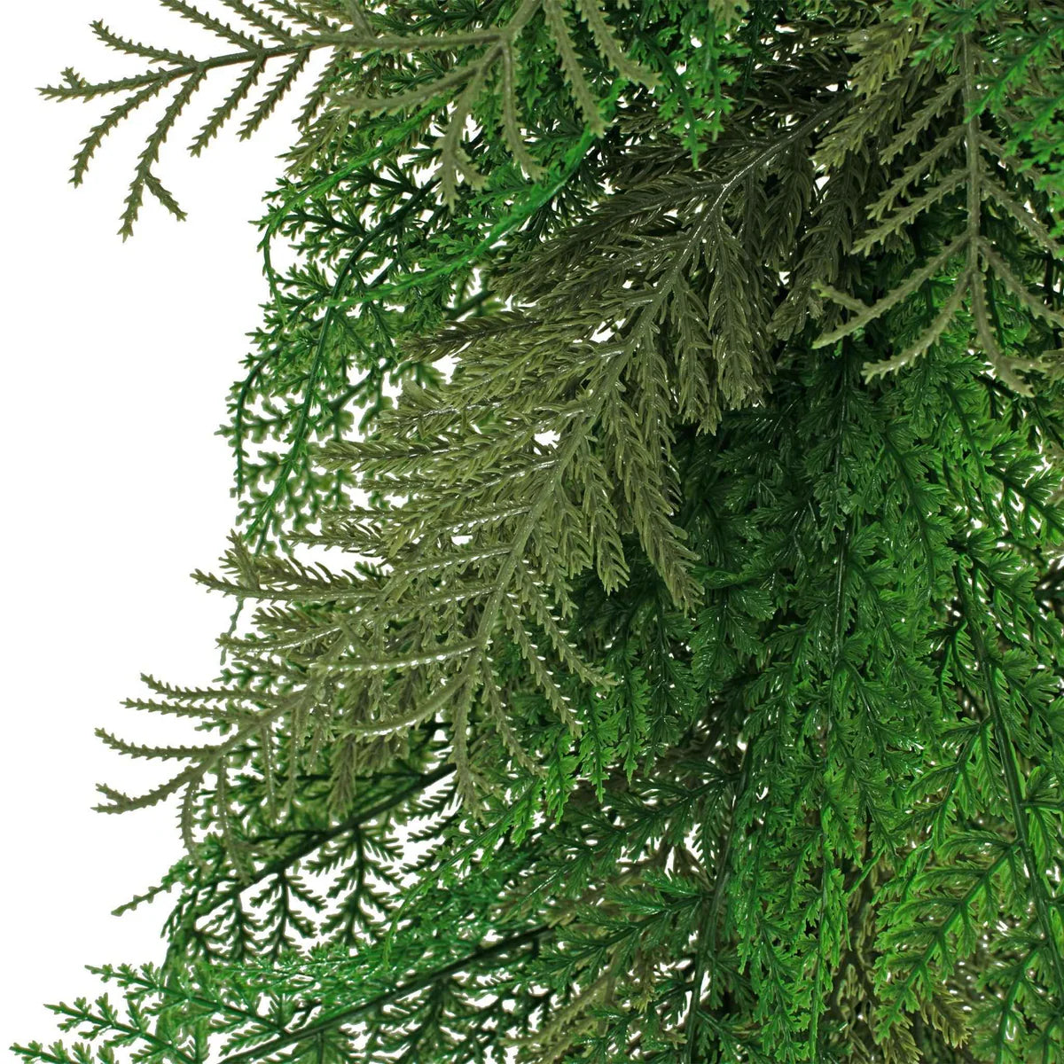 6FT MIXED CEDAR AND CYPRESS GARLAND