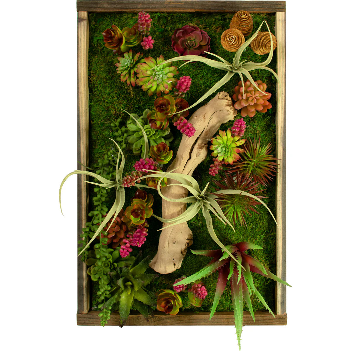 THE MONTEREY SUCCULENT & MOSS FRAME