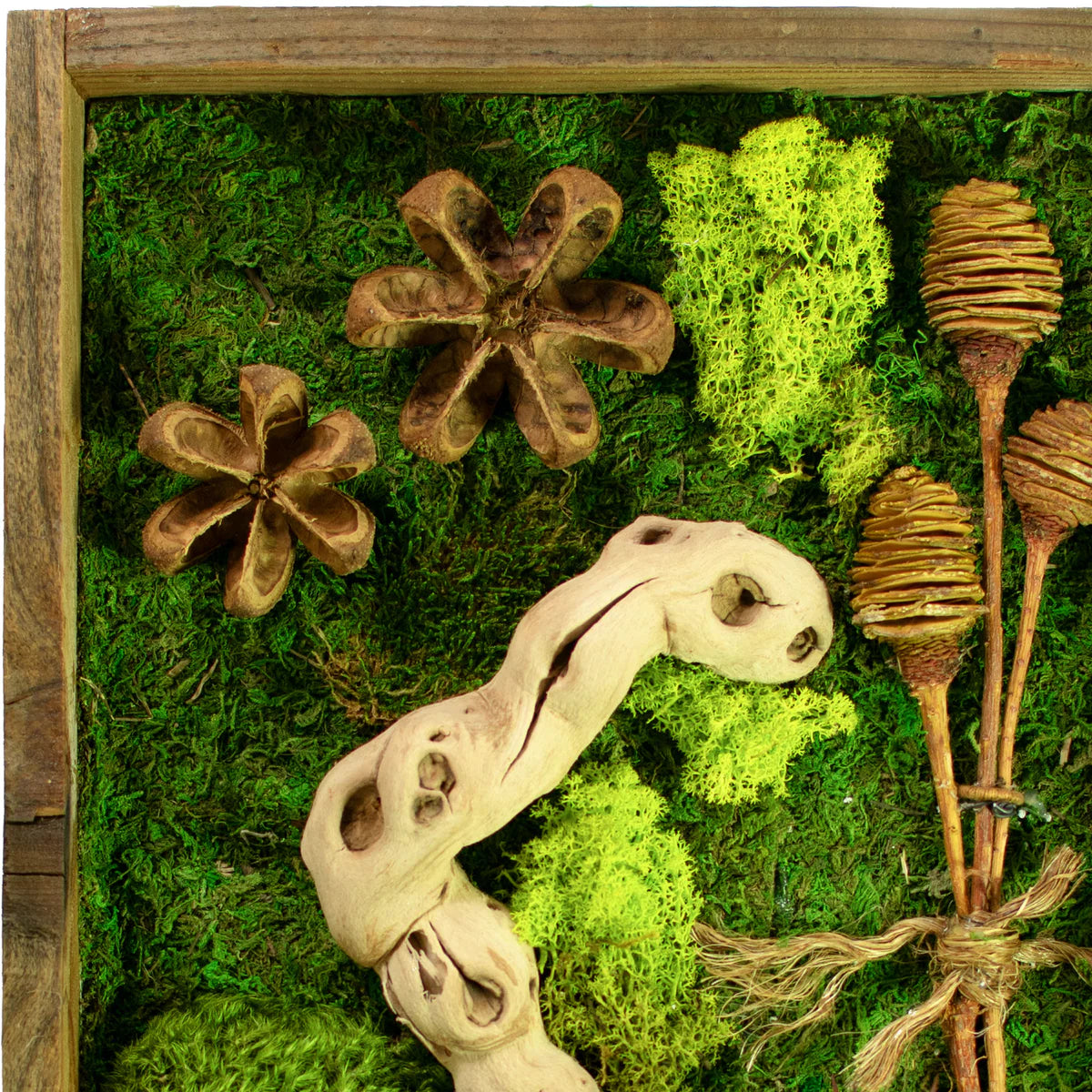 THE CALIFORNIA MOSS & SUCCULENT FRAME
