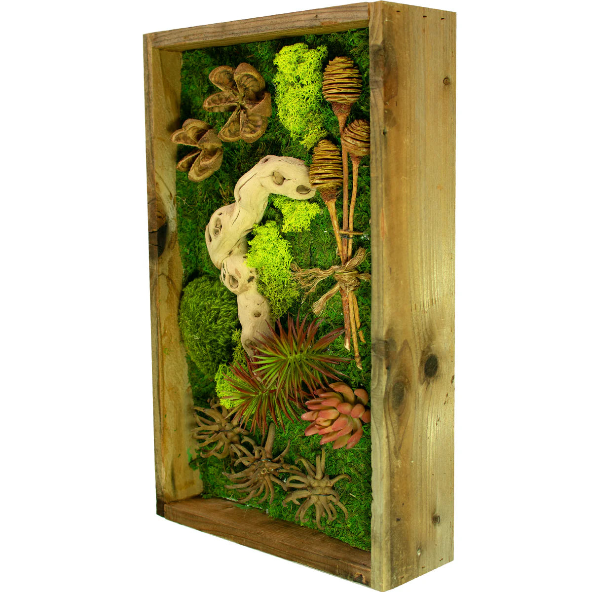 THE CALIFORNIA MOSS & SUCCULENT FRAME