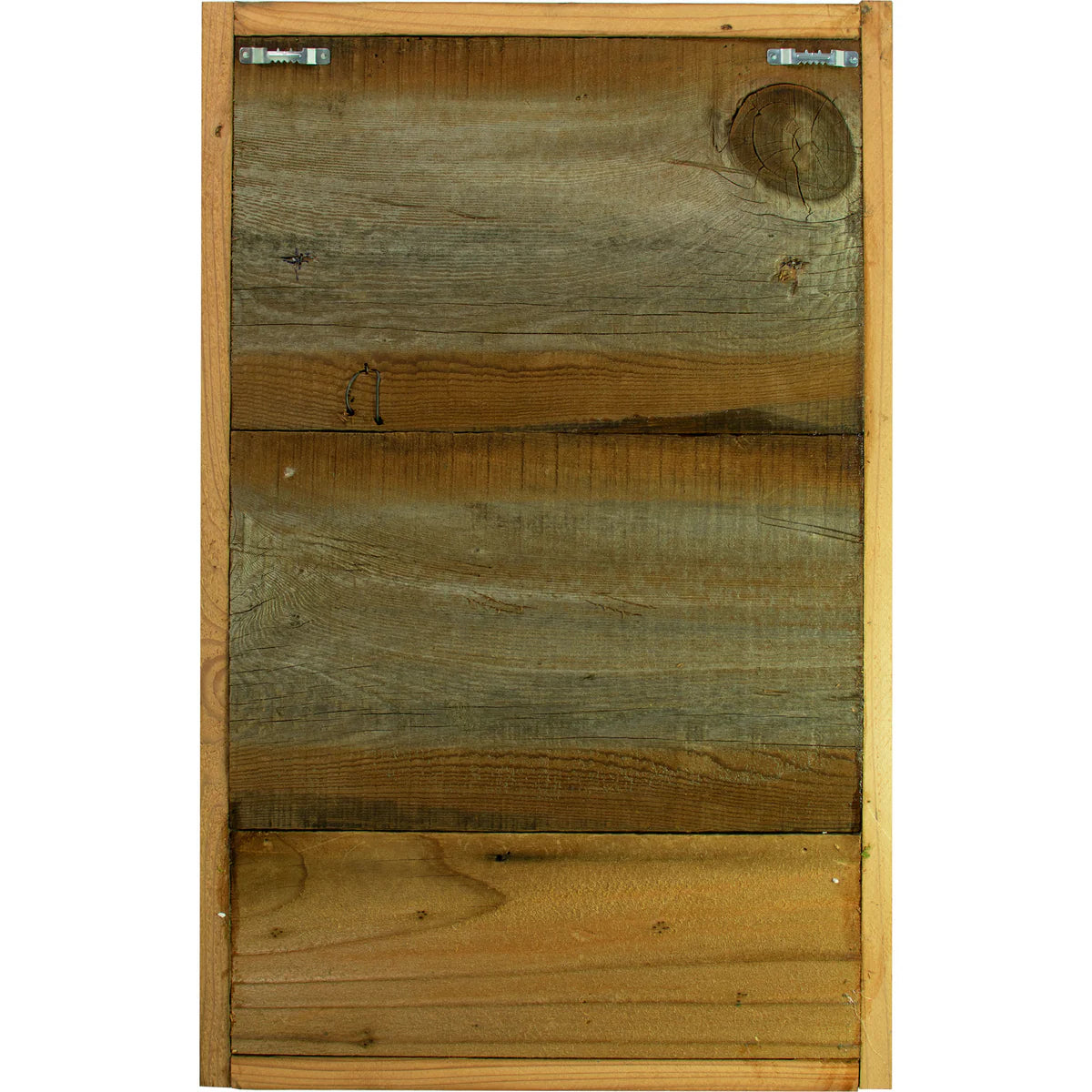 THE CALIFORNIA MOSS & SUCCULENT FRAME