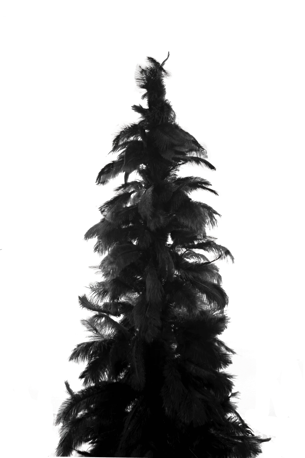 BLACK OSTRICH FEATHER TREE