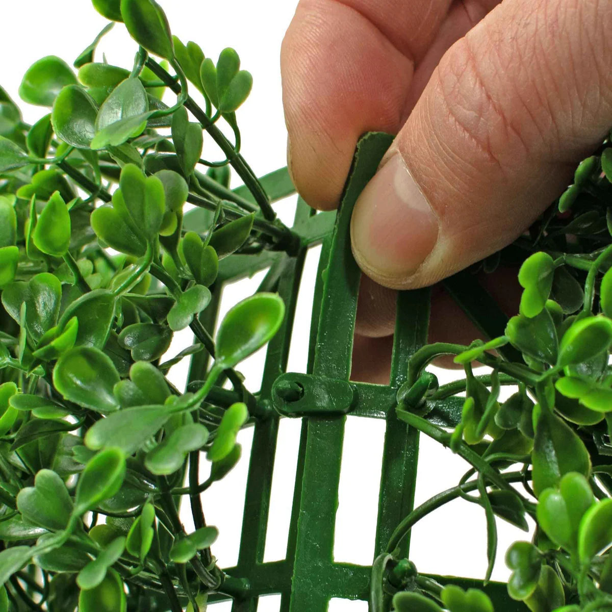 BOXWOOD TOPIARY WALL PANELS 8 SQFT