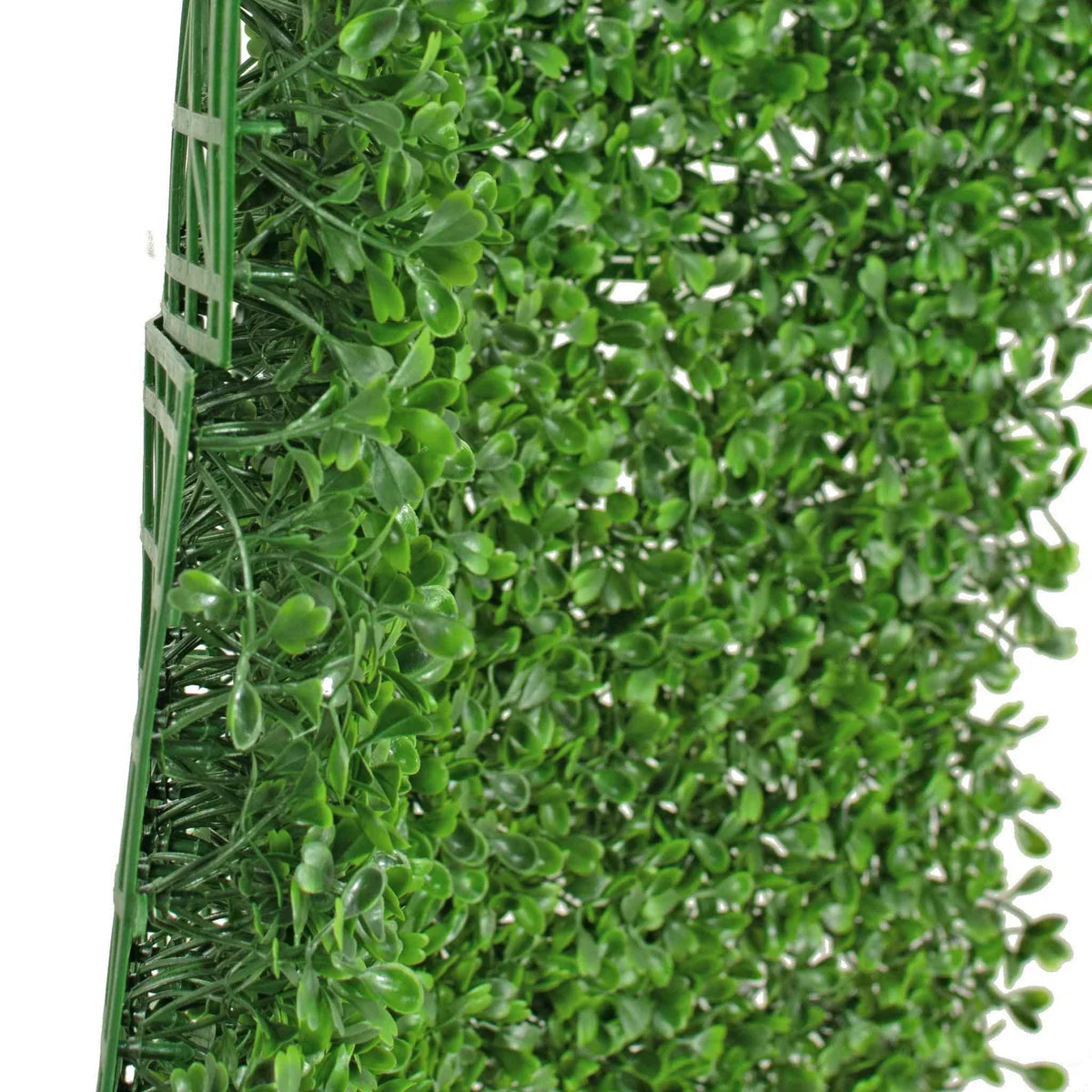 BOXWOOD TOPIARY WALL PANELS 8 SQFT