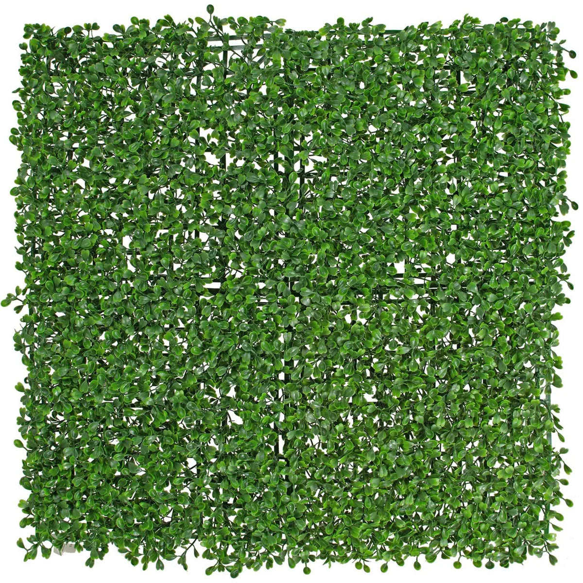 BOXWOOD TOPIARY WALL PANELS 8 SQFT