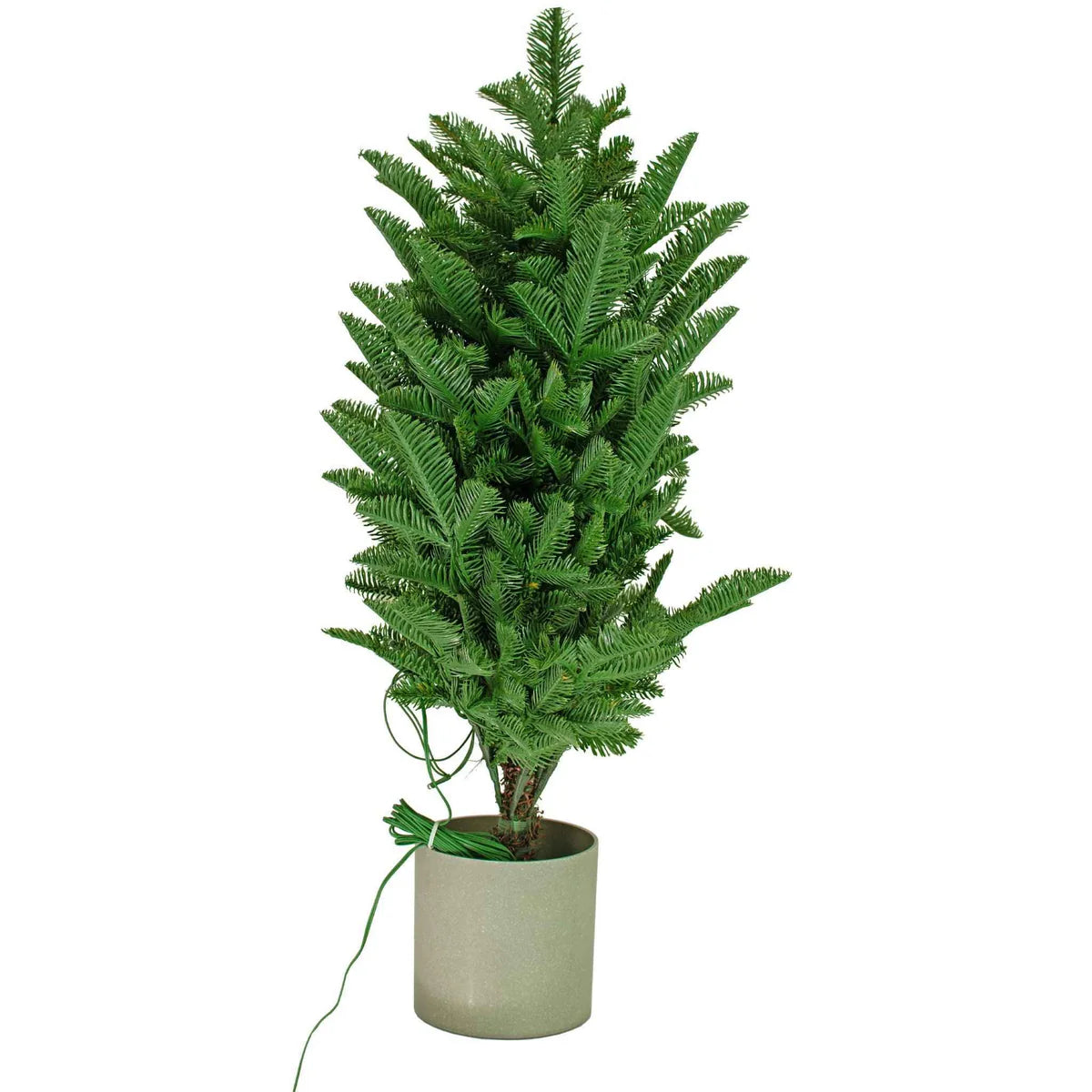 LUXE CHRISTMAS TABLETOP PINE TREE