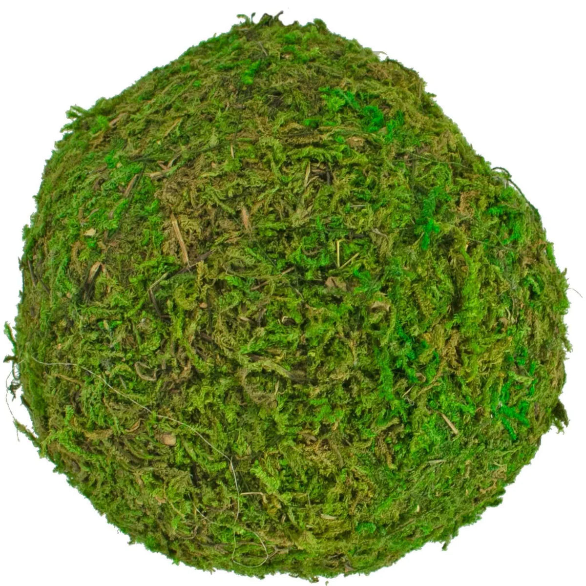 REAL DECORATIVE MOSS BALLS