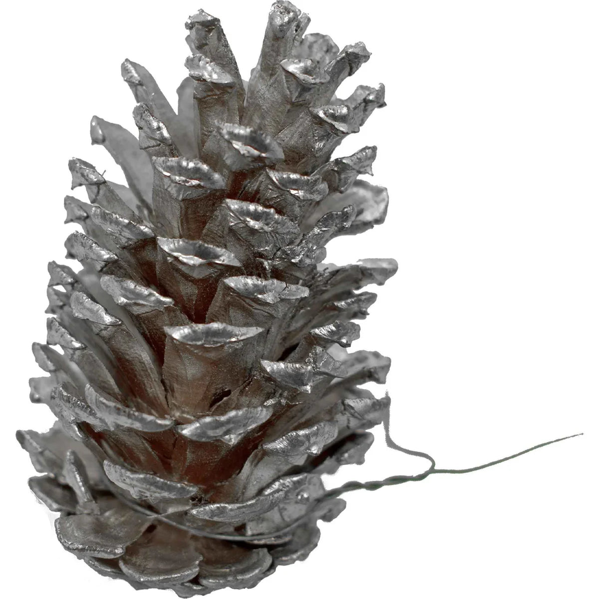 SILVER PINE CONES