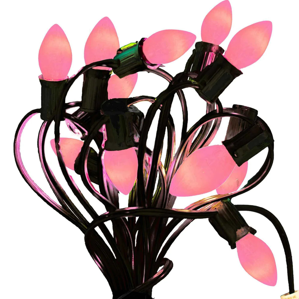 SOLID PINK LIGHTS