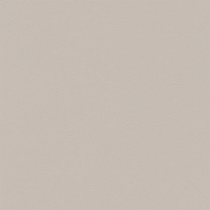 ZEAL DINING CHAIR LIGHT GRAY