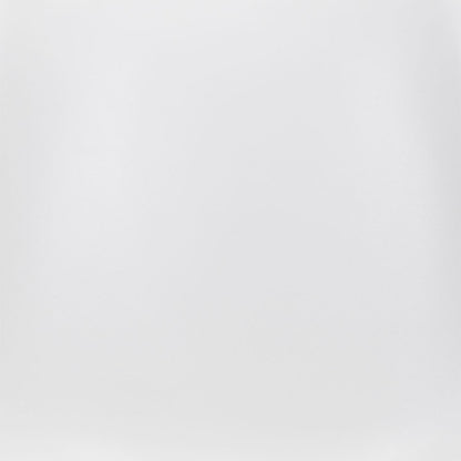 ACE DINING CHAIR WHITE & SILVER