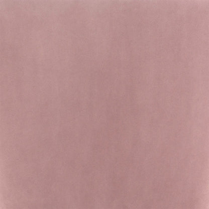 TOLIVERE DINING CHAIR PINK