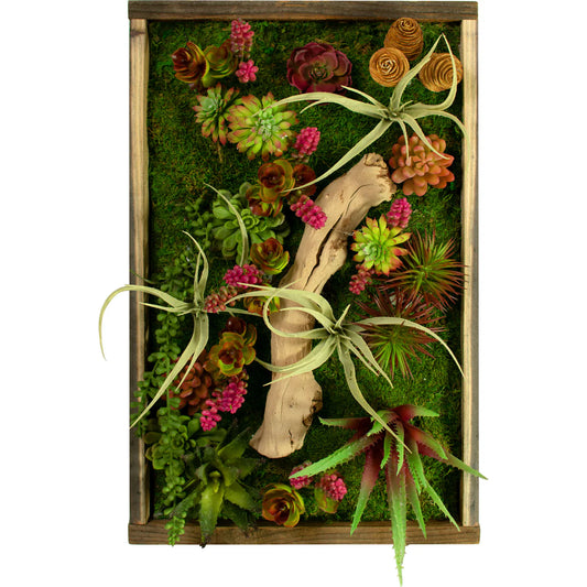 THE MONTEREY SUCCULENT & MOSS FRAME