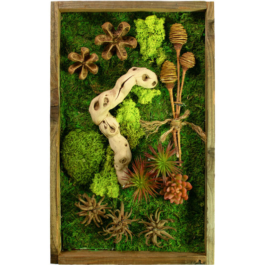 THE CALIFORNIA MOSS & SUCCULENT FRAME