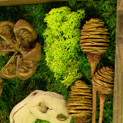 THE CALIFORNIA MOSS & SUCCULENT FRAME