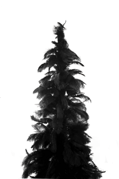 BLACK OSTRICH FEATHER TREE