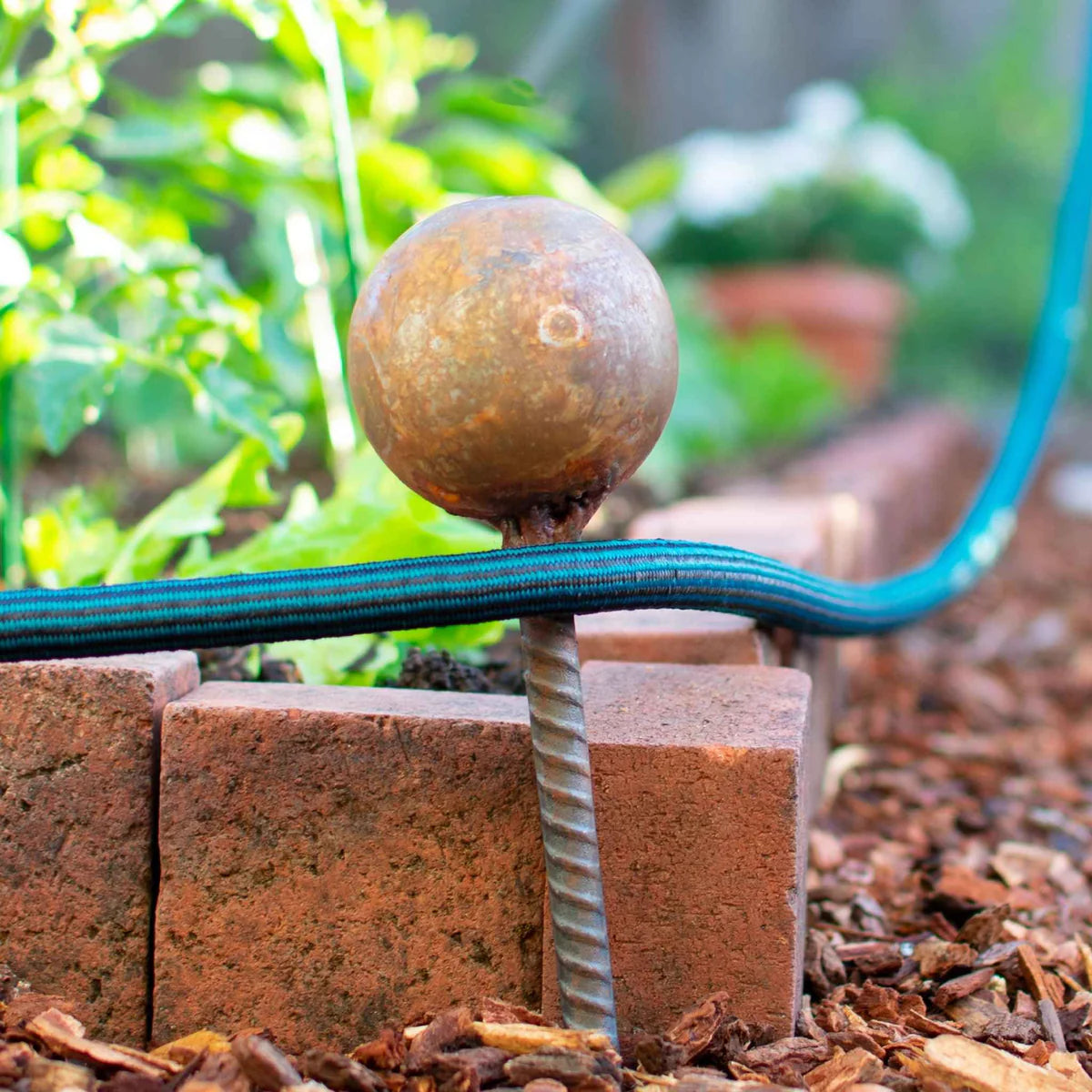 GARDEN HOSE STAKE GUIDES