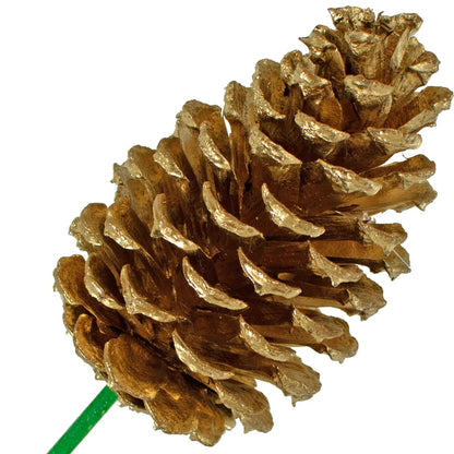 GOLD PINE CONES