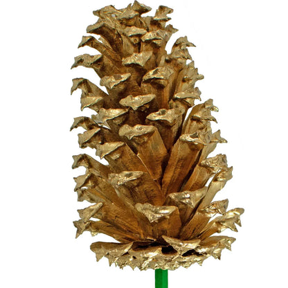 GOLD PINE CONES