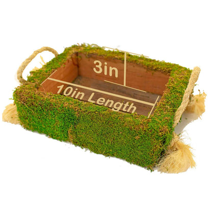 MOSS COVERED SUCCULENT BOX