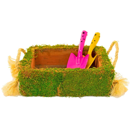 MOSS COVERED SUCCULENT BOX
