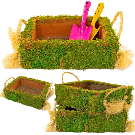 MOSS COVERED SUCCULENT BOX
