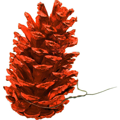 ORANGE PINE CONES