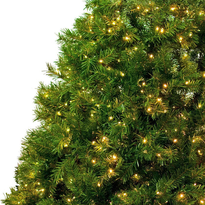 PREMIER PRE-LIT PINE CHRISTMAS TREE