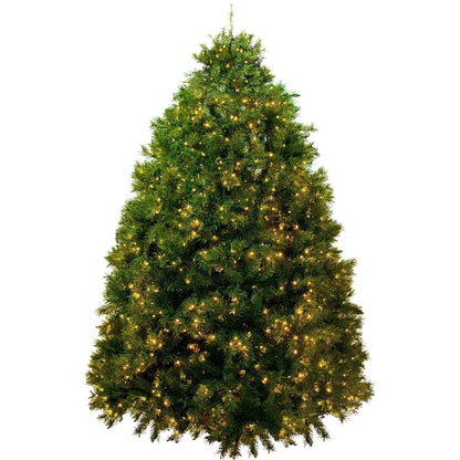 PREMIER PRE-LIT PINE CHRISTMAS TREE