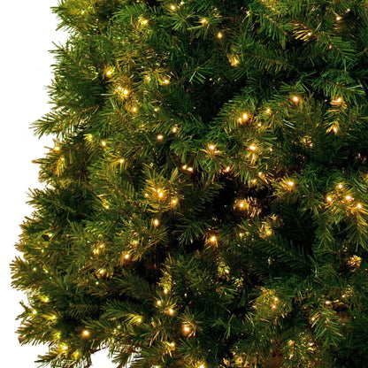 PREMIER PRE-LIT PINE CHRISTMAS TREE