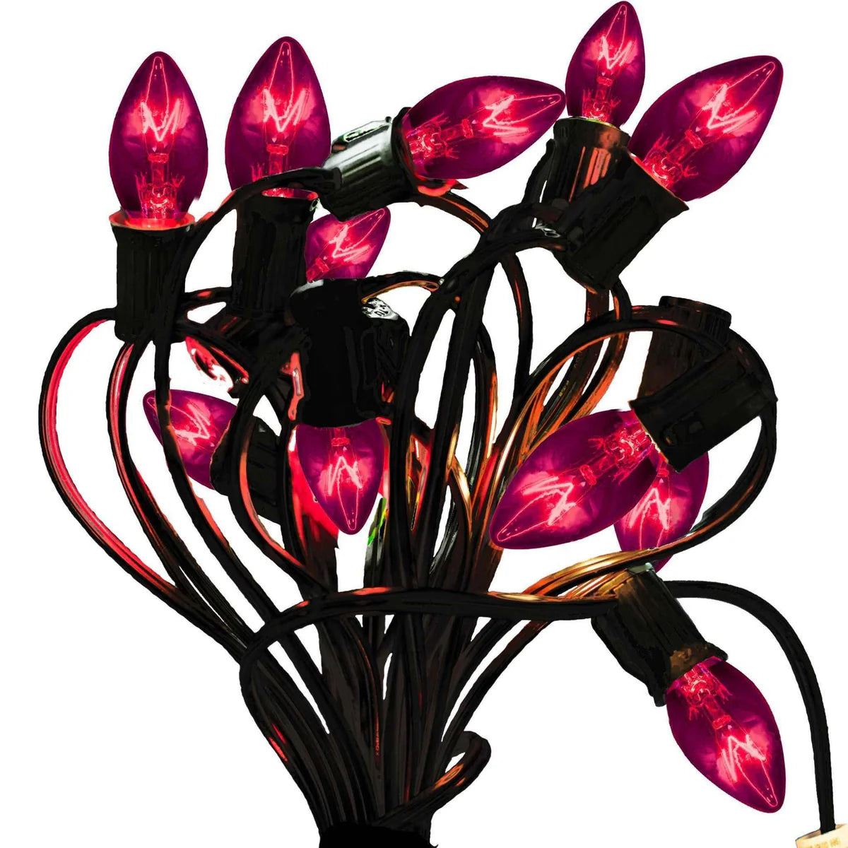 PURPLE LIGHT BULBS