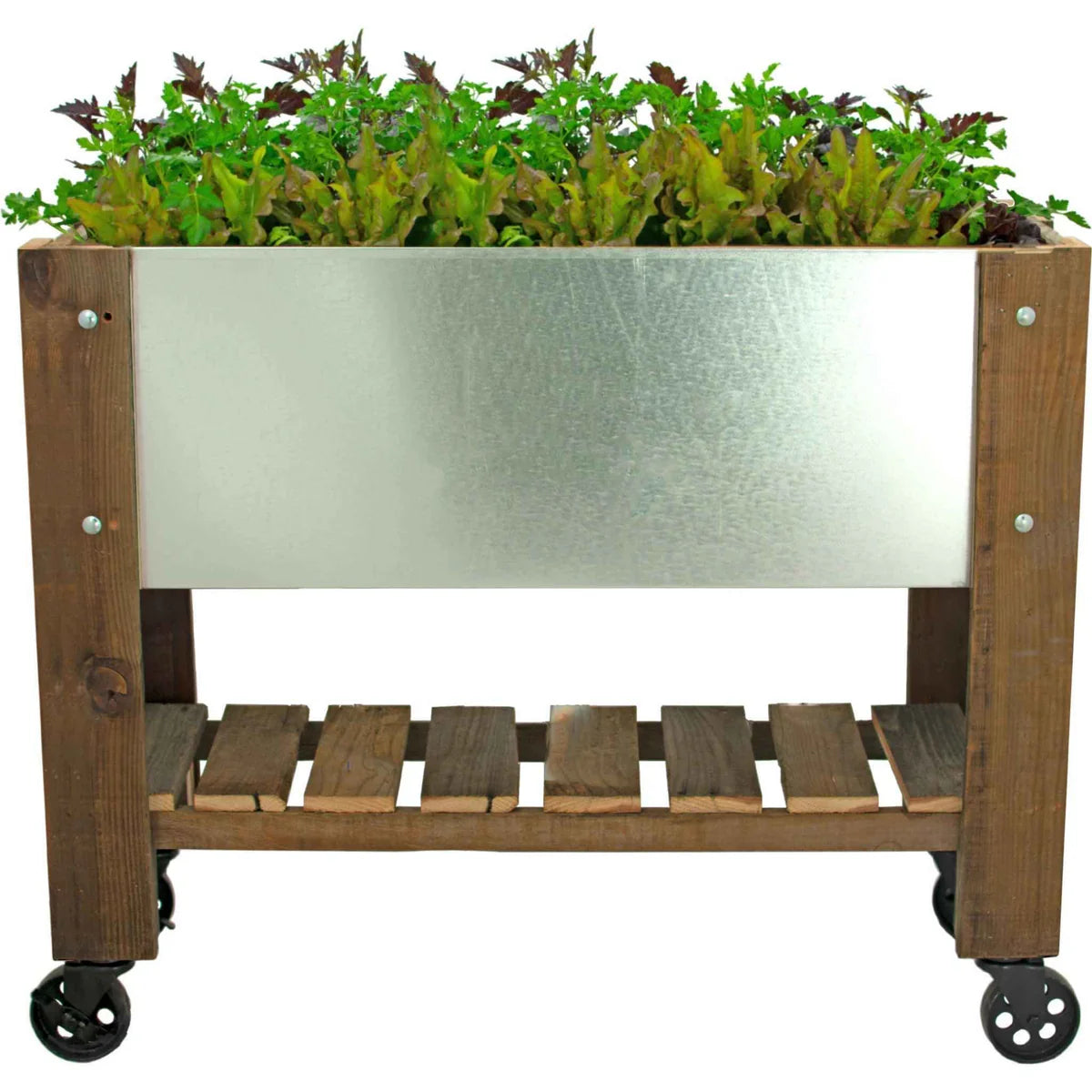 RAISED BED PLANTER BOX ON CASTERS