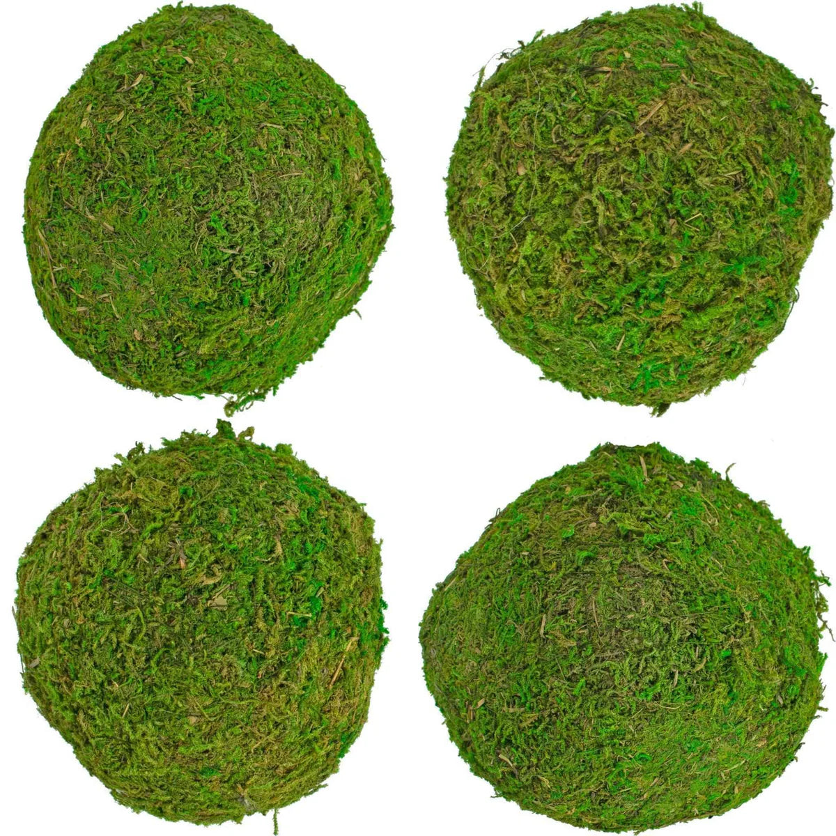 REAL DECORATIVE MOSS BALLS
