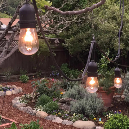 S14 EDISON LIGHT BULBS
