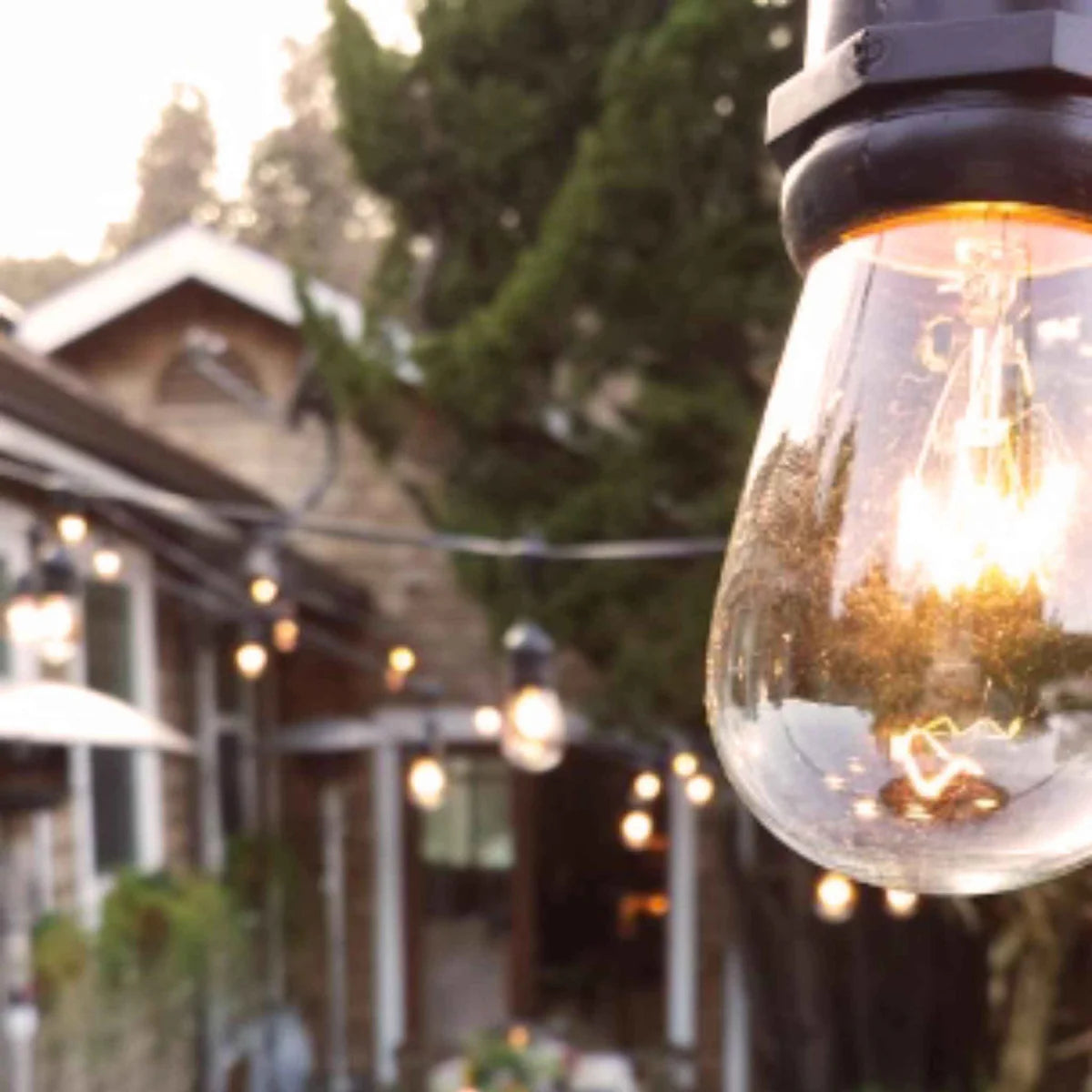 S14 EDISON LIGHT BULBS