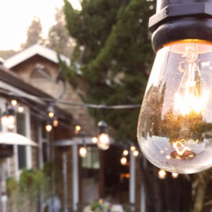 S14 EDISON LIGHT BULBS