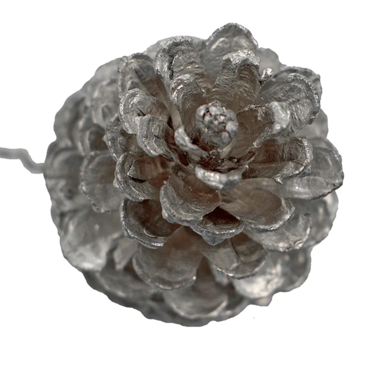 SILVER PINE CONES