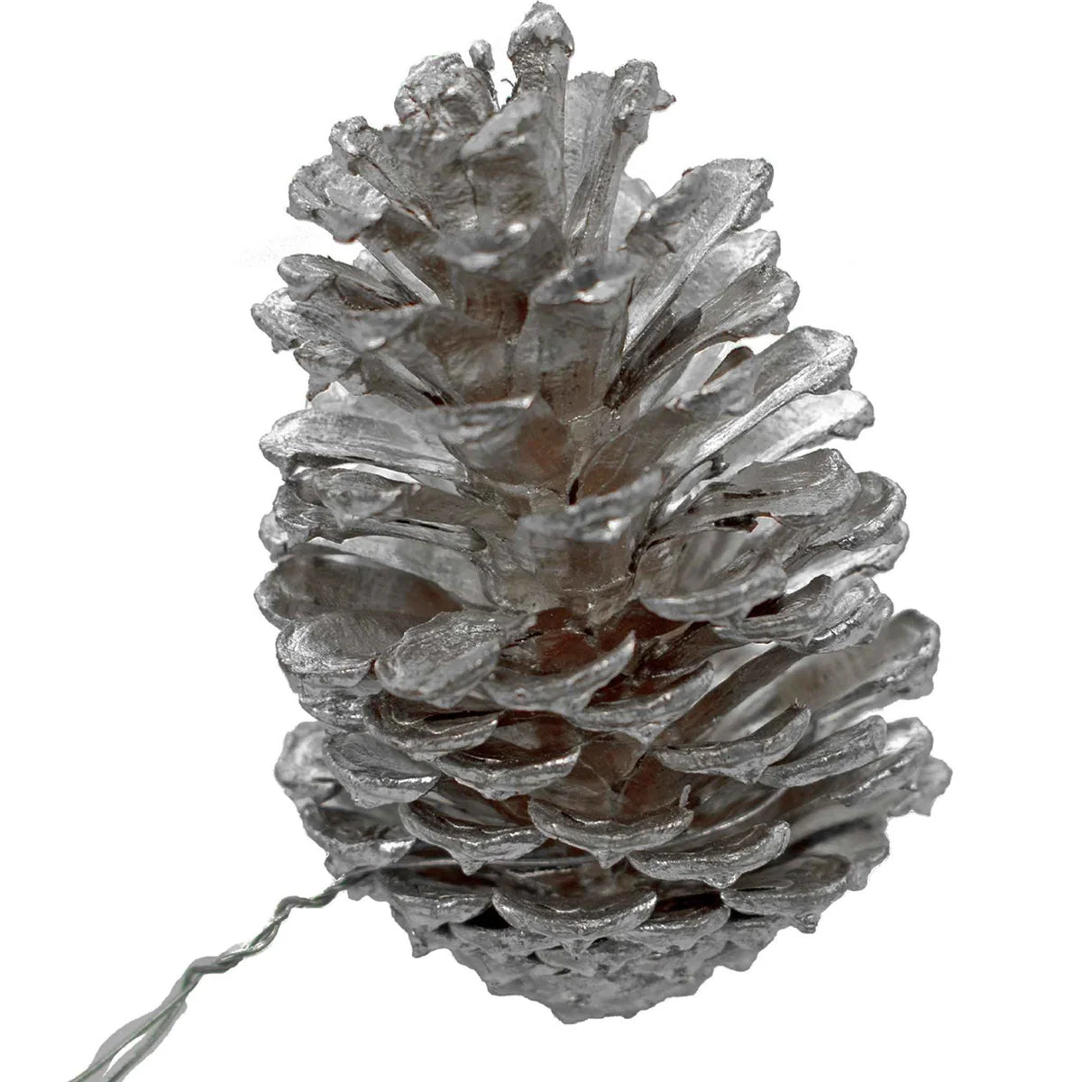 SILVER PINE CONES