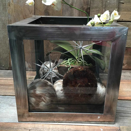 STEEL TERRARIUM WITH GLASS